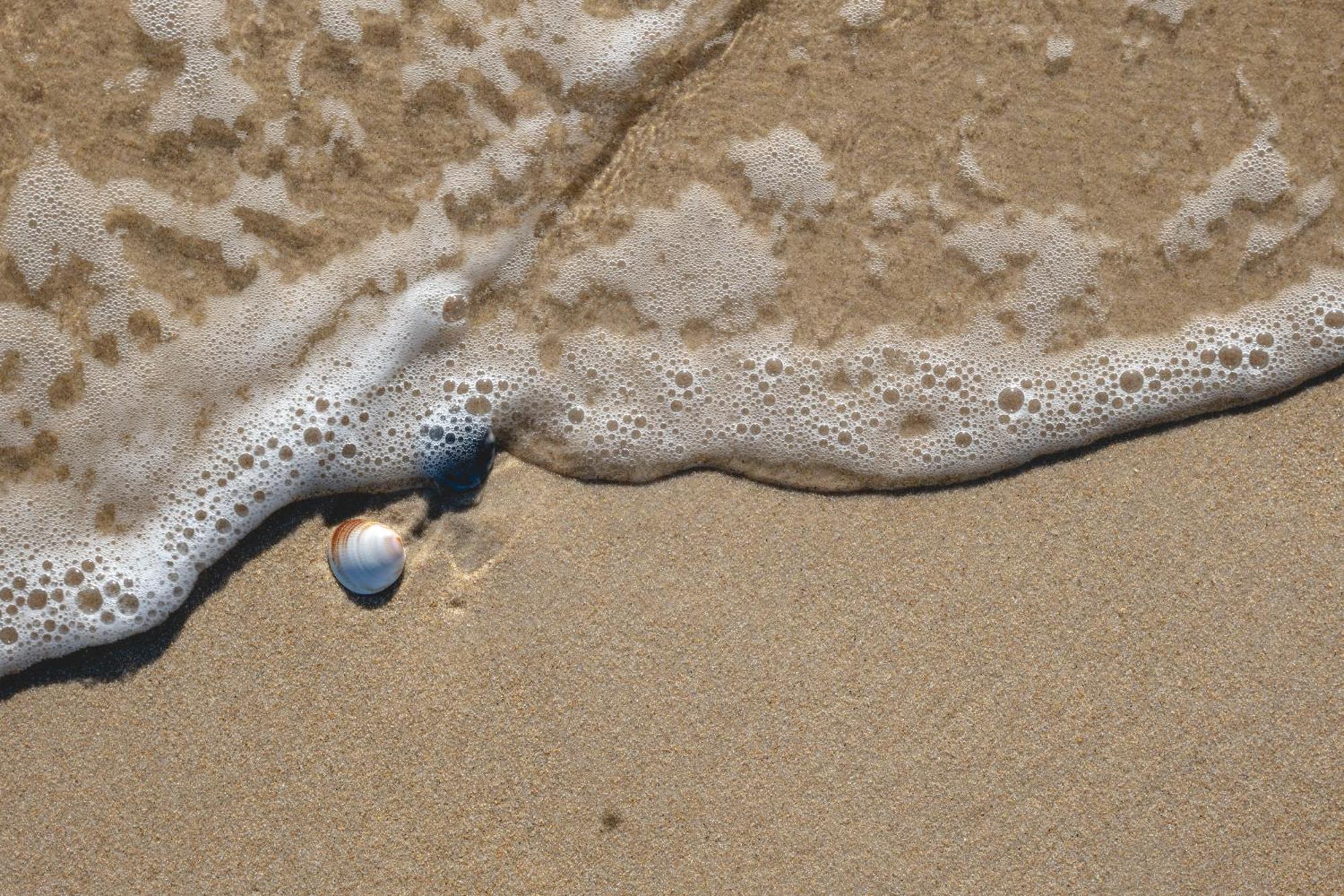 Blue Seas Holiday Villas Scamander Eksteriør bilde