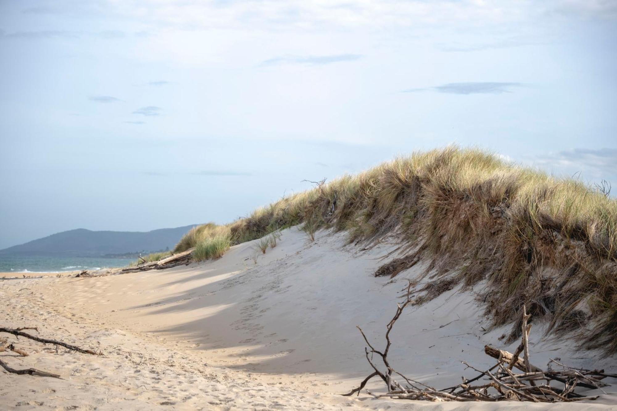 Blue Seas Holiday Villas Scamander Eksteriør bilde