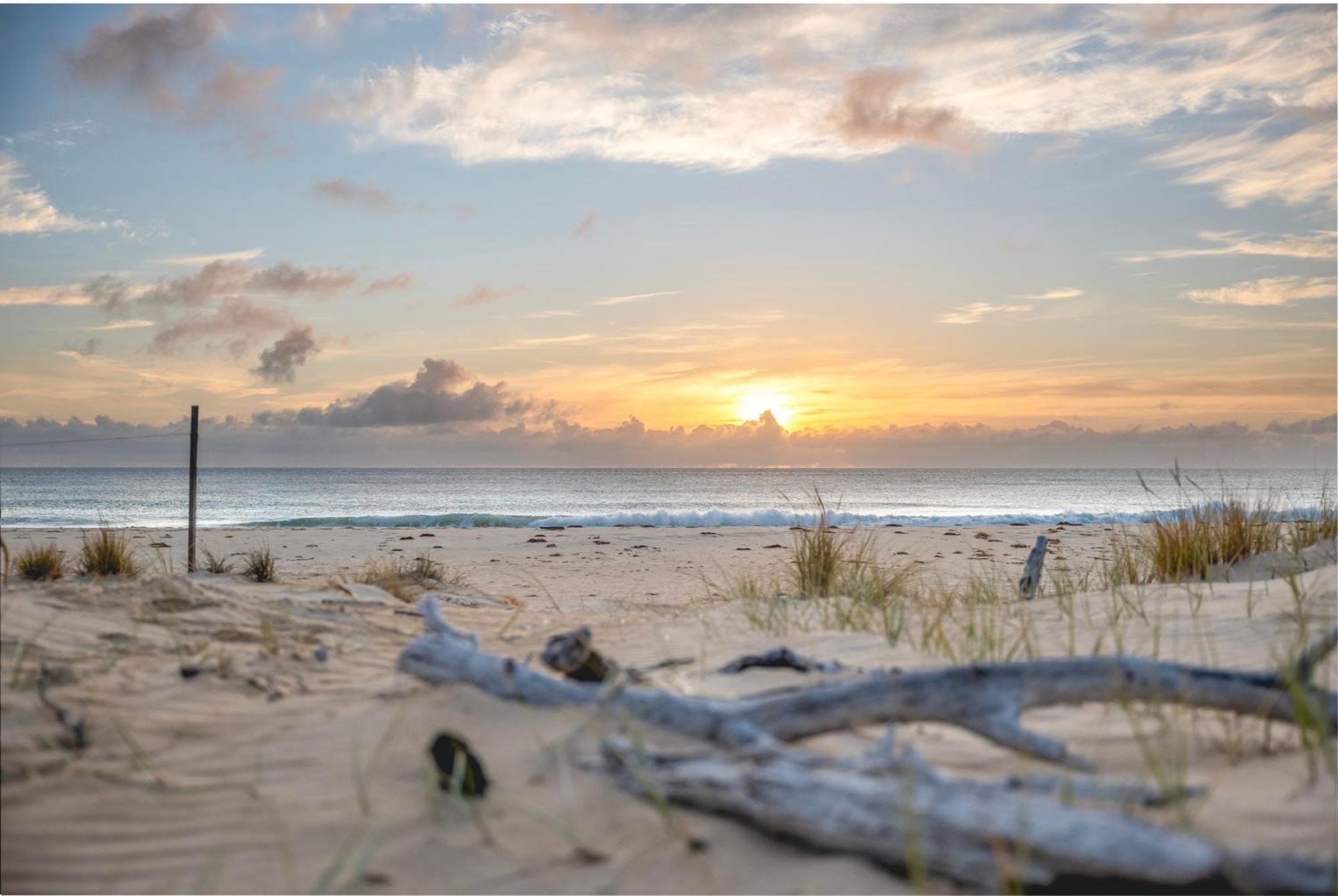 Blue Seas Holiday Villas Scamander Eksteriør bilde