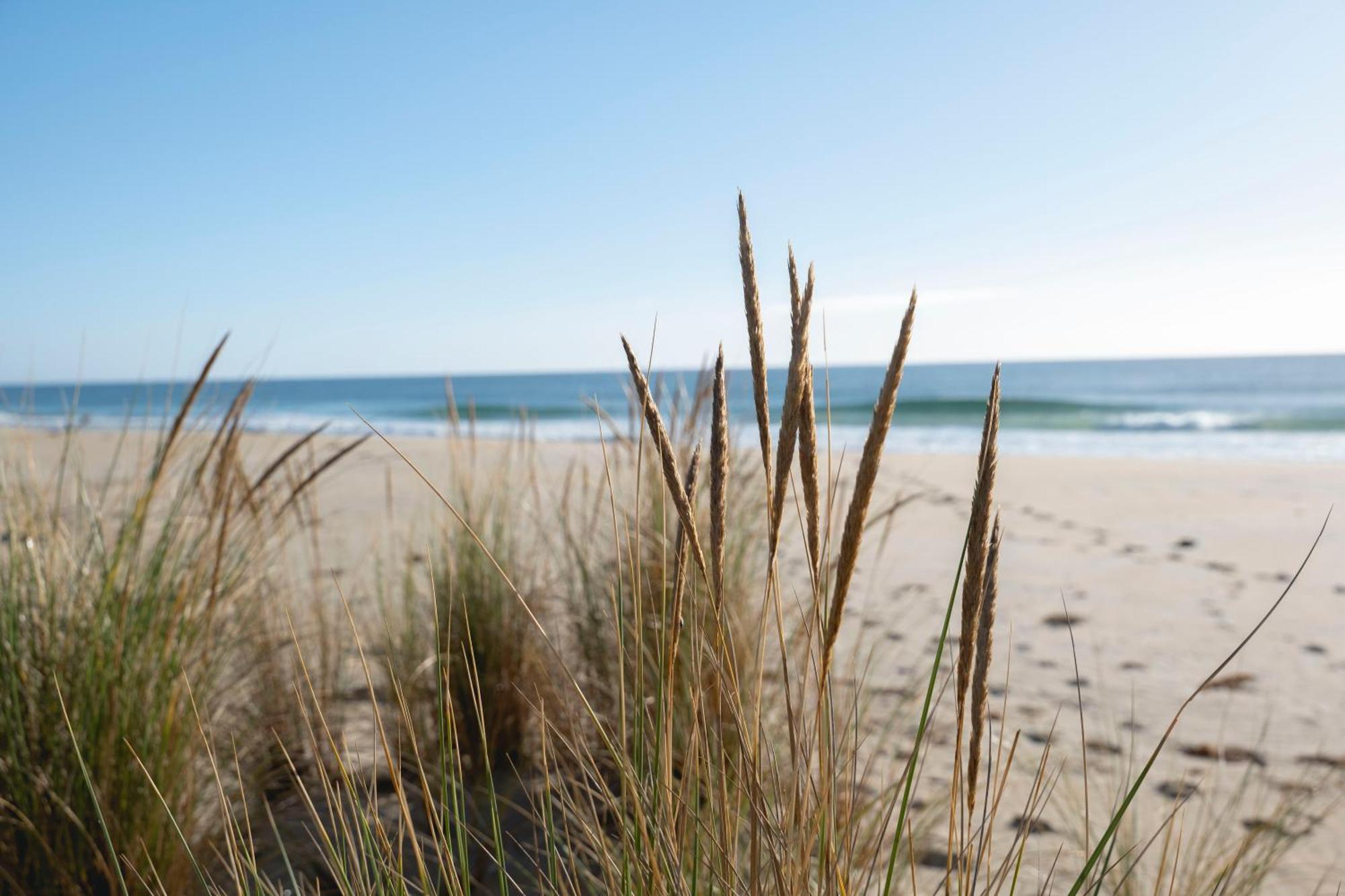 Blue Seas Holiday Villas Scamander Eksteriør bilde